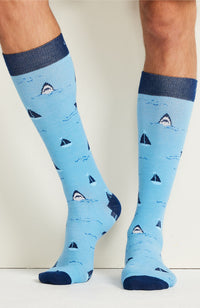 ::Sails And Sharks