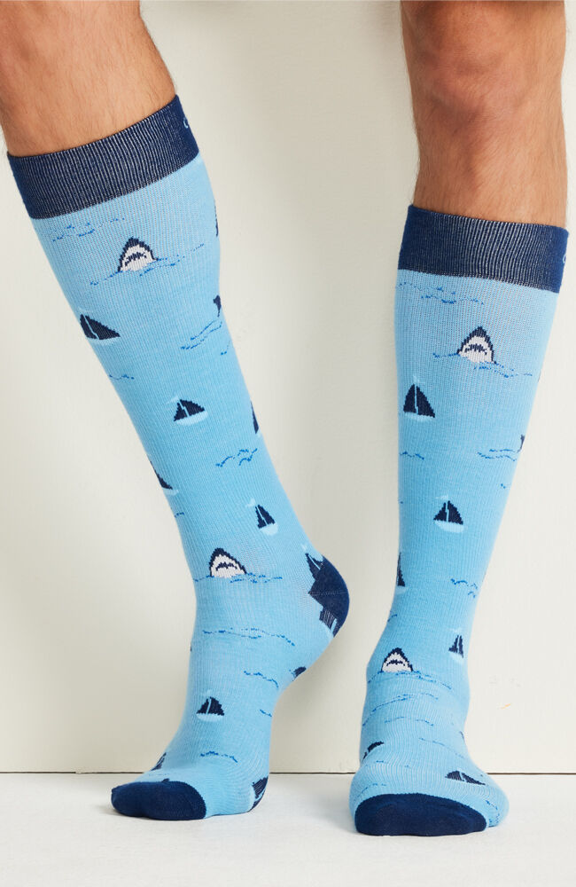 ::Sails And Sharks